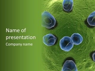 Chlamydiae Bacteria Biology PowerPoint Template