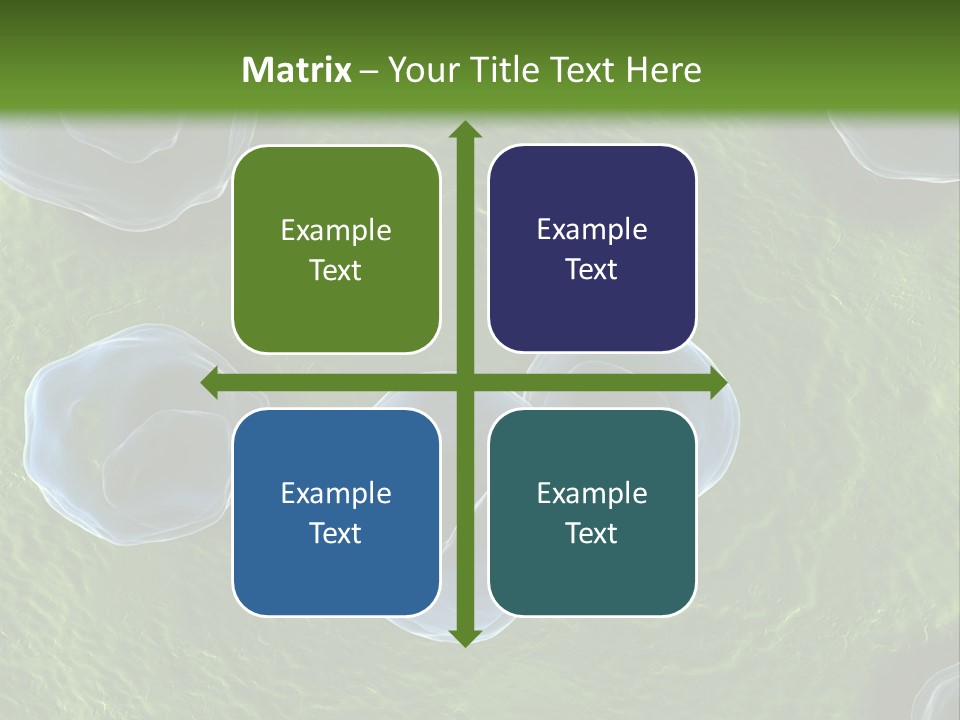Chlamydiae Bacteria Biology PowerPoint Template