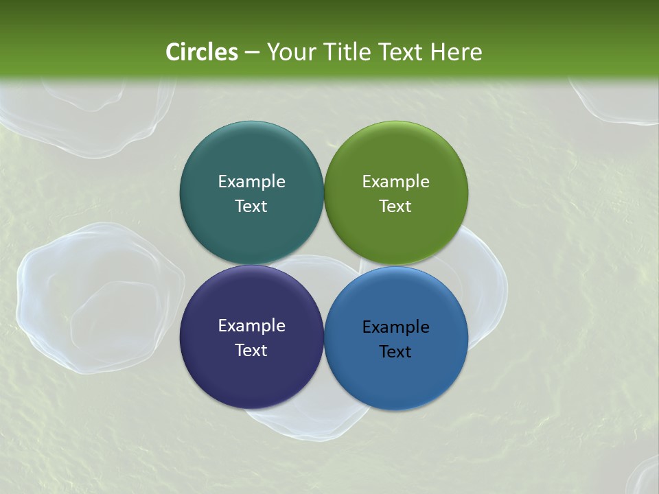 Chlamydiae Bacteria Biology PowerPoint Template