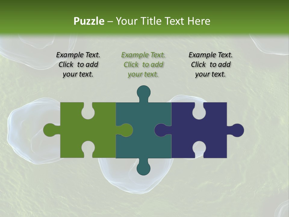 Chlamydiae Bacteria Biology PowerPoint Template