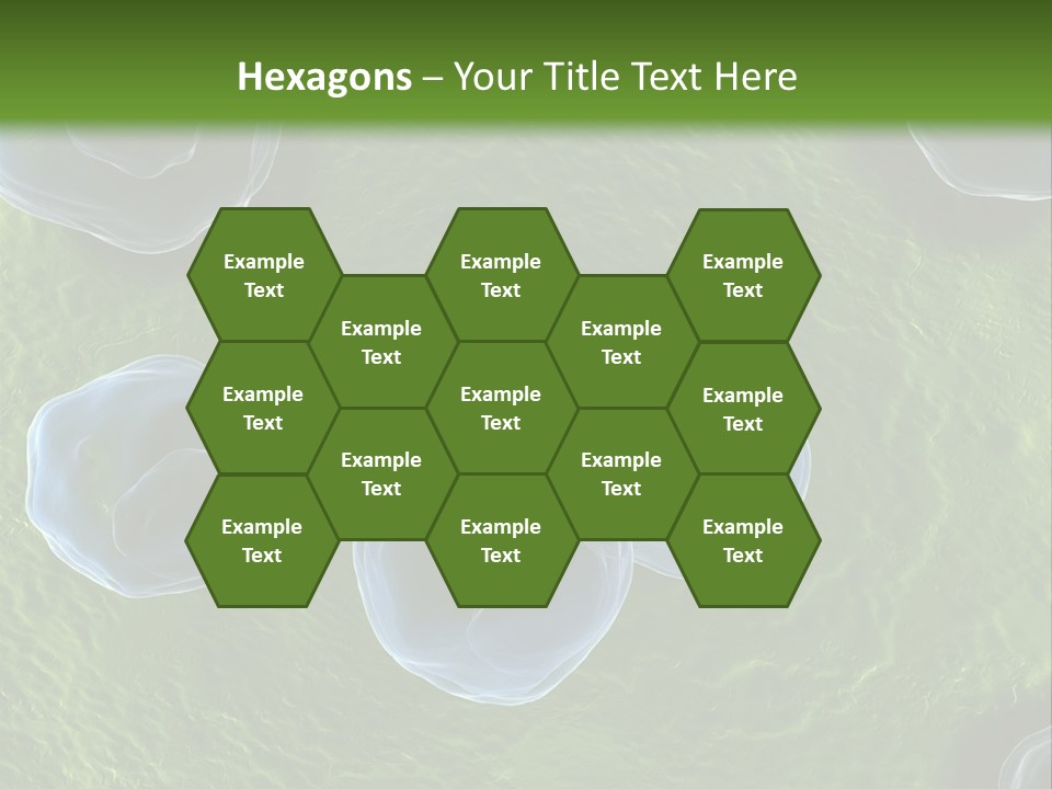 Chlamydiae Bacteria Biology PowerPoint Template
