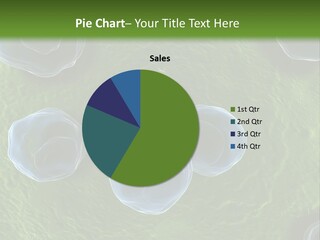 Chlamydiae Bacteria Biology PowerPoint Template