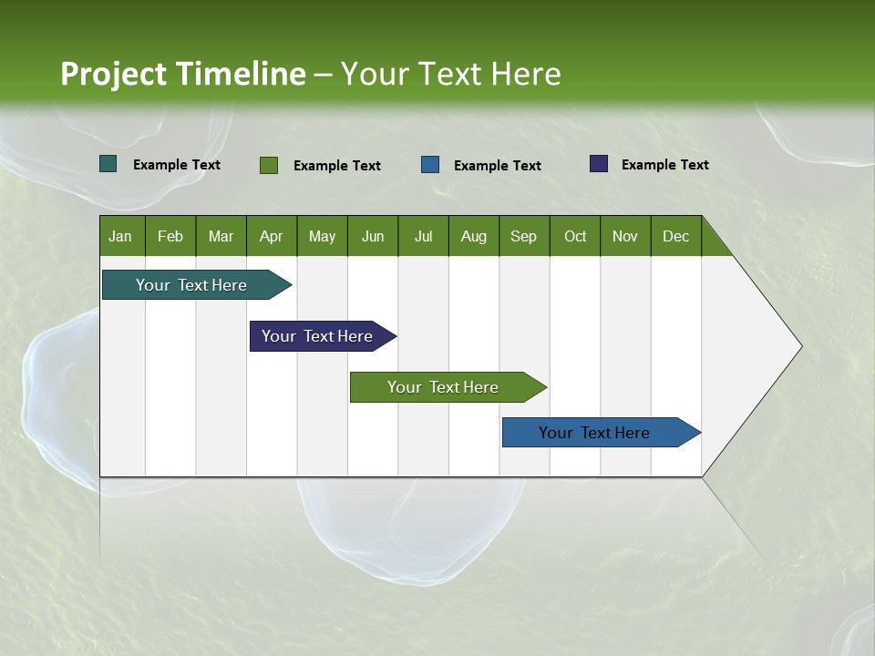 Chlamydiae Bacteria Biology PowerPoint Template