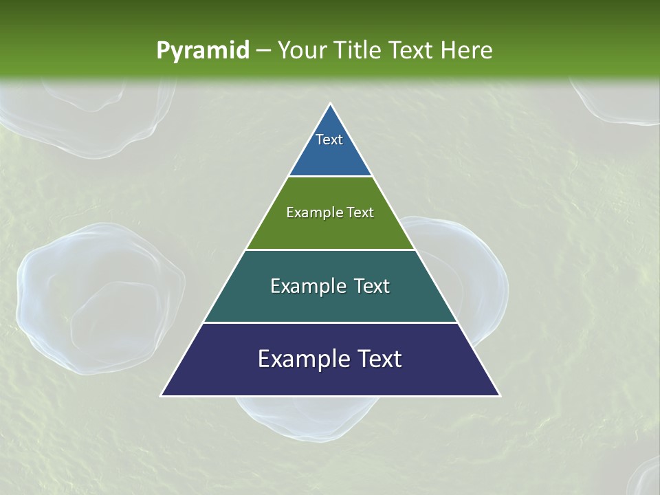 Chlamydiae Bacteria Biology PowerPoint Template