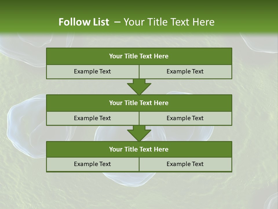 Chlamydiae Bacteria Biology PowerPoint Template