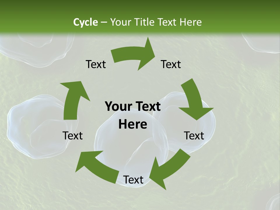 Chlamydiae Bacteria Biology PowerPoint Template