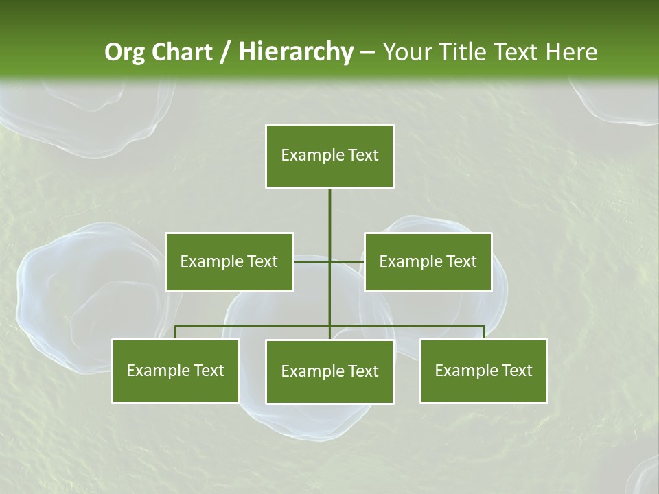 Chlamydiae Bacteria Biology PowerPoint Template