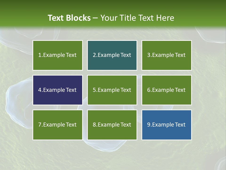 Chlamydiae Bacteria Biology PowerPoint Template