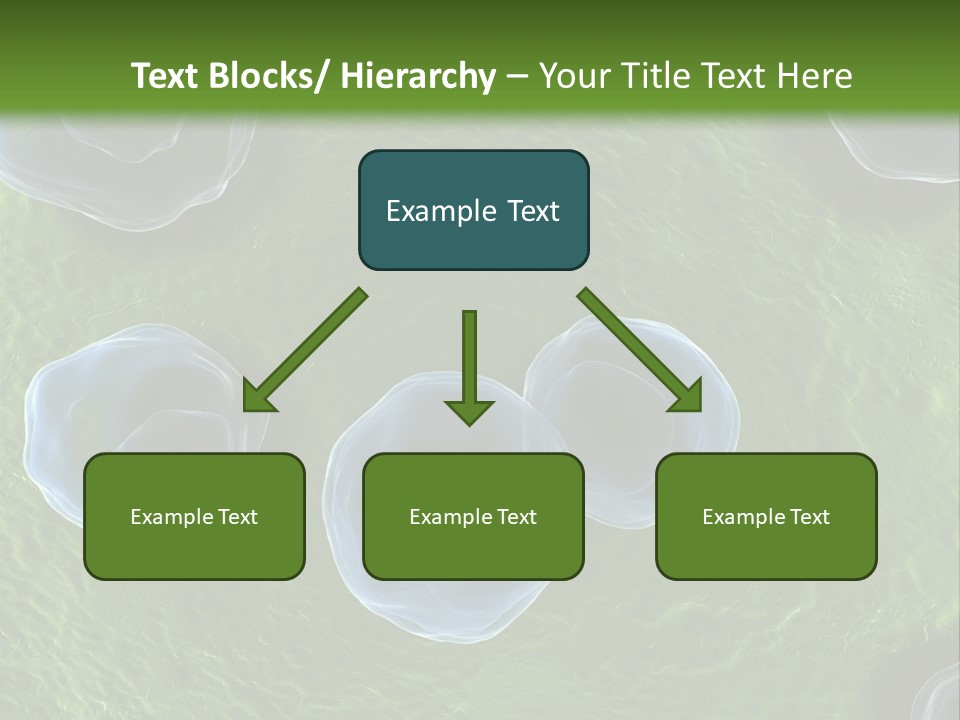 Chlamydiae Bacteria Biology PowerPoint Template