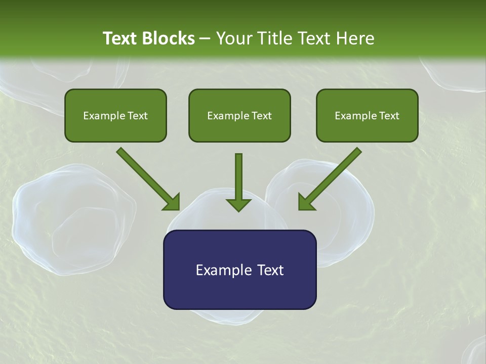 Chlamydiae Bacteria Biology PowerPoint Template