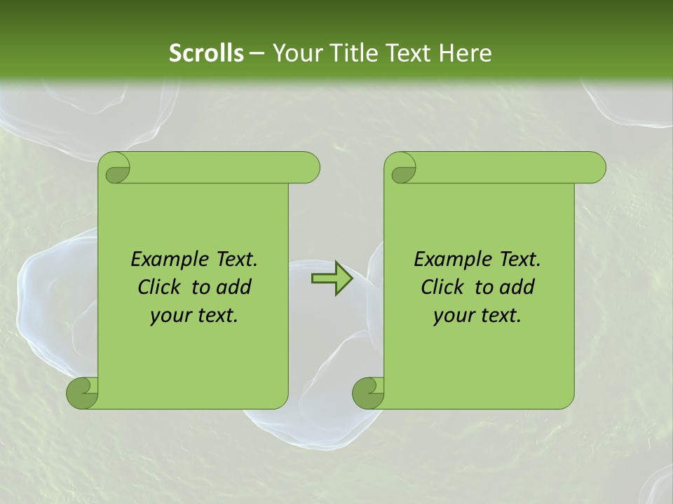 Chlamydiae Bacteria Biology PowerPoint Template