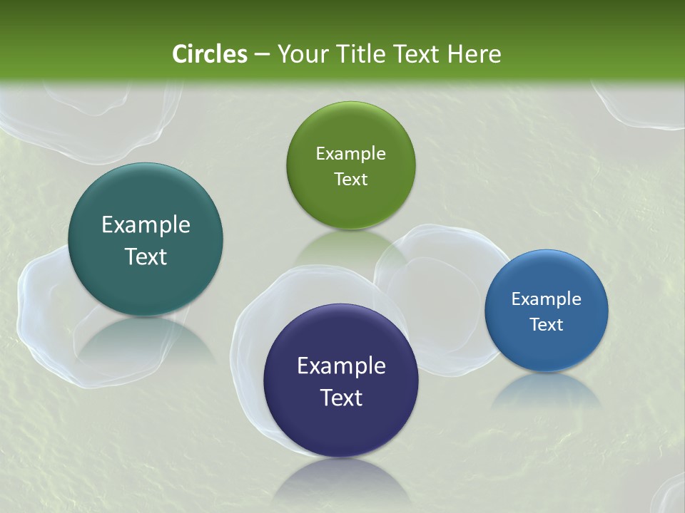 Chlamydiae Bacteria Biology PowerPoint Template