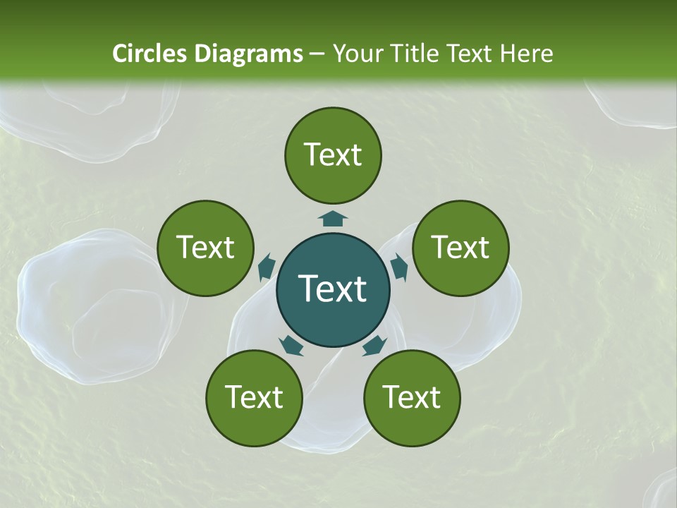 Chlamydiae Bacteria Biology PowerPoint Template