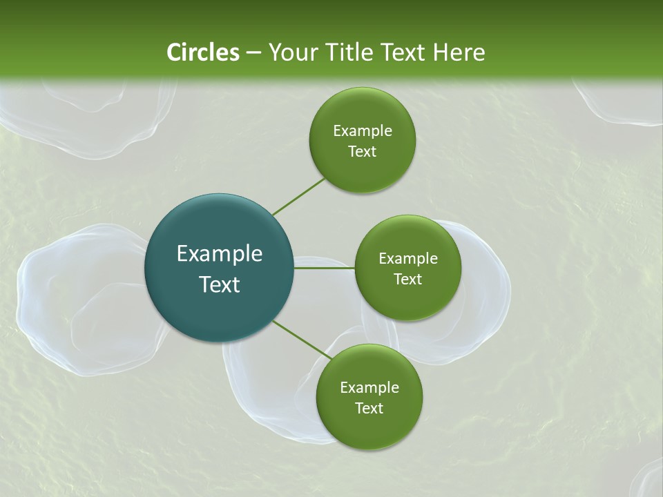 Chlamydiae Bacteria Biology PowerPoint Template