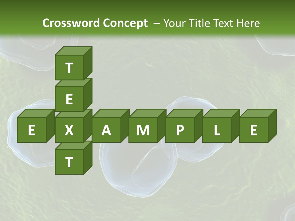Chlamydiae Bacteria Biology PowerPoint Template