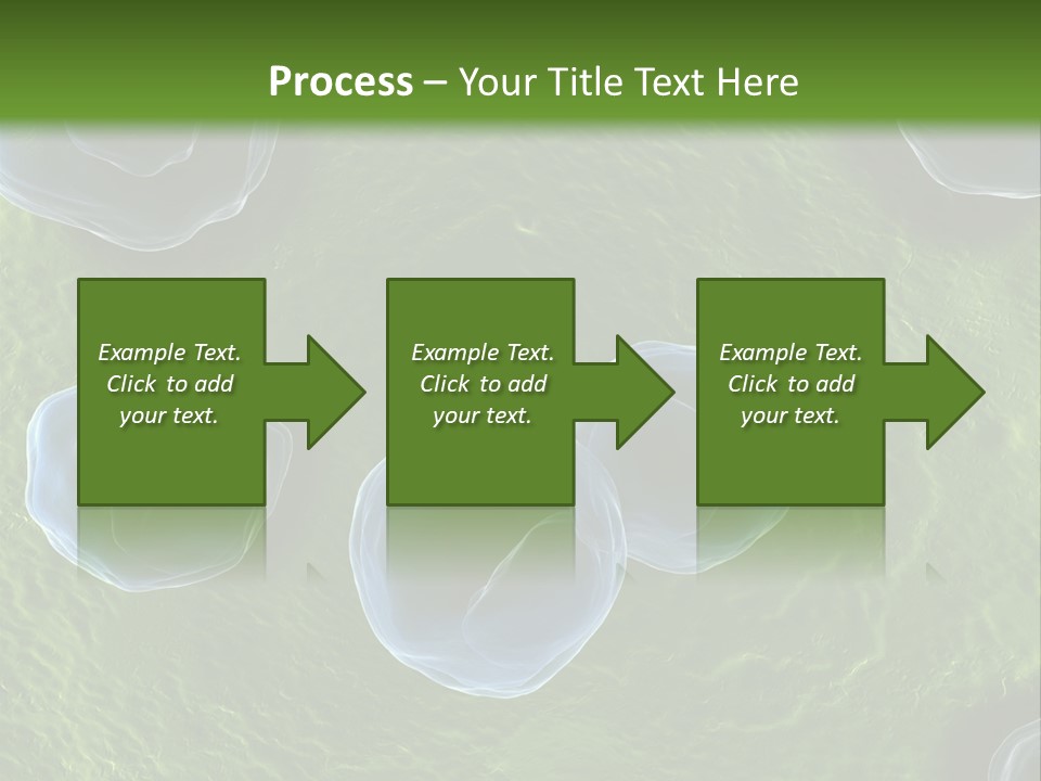 Chlamydiae Bacteria Biology PowerPoint Template