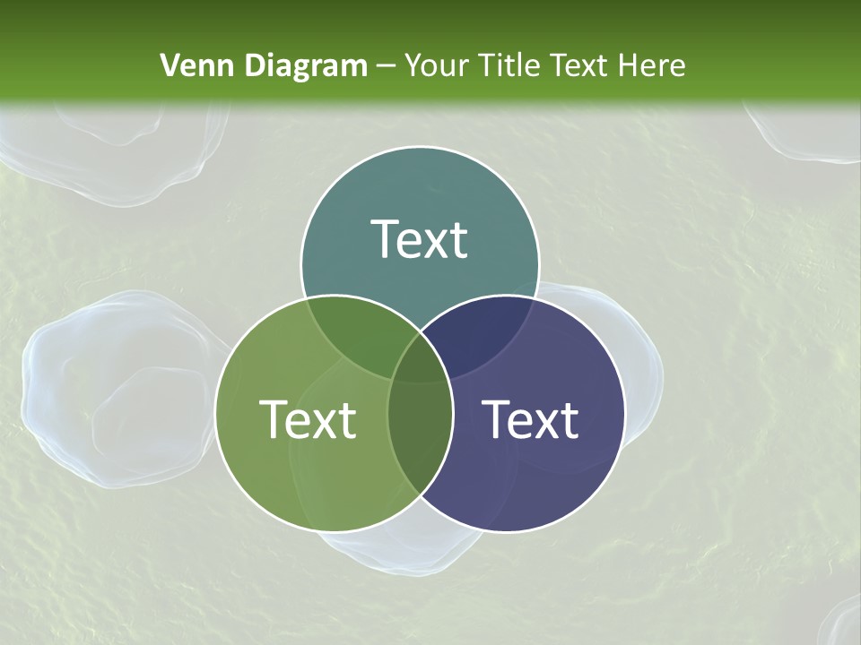 Chlamydiae Bacteria Biology PowerPoint Template