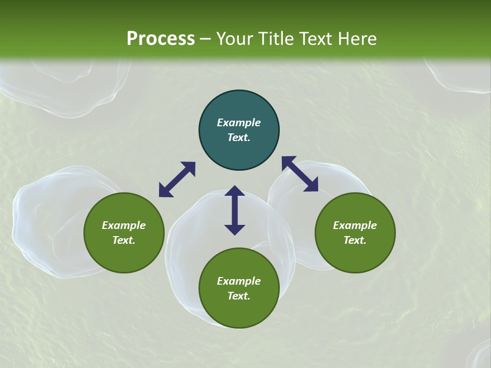 Chlamydiae Bacteria Biology PowerPoint Template