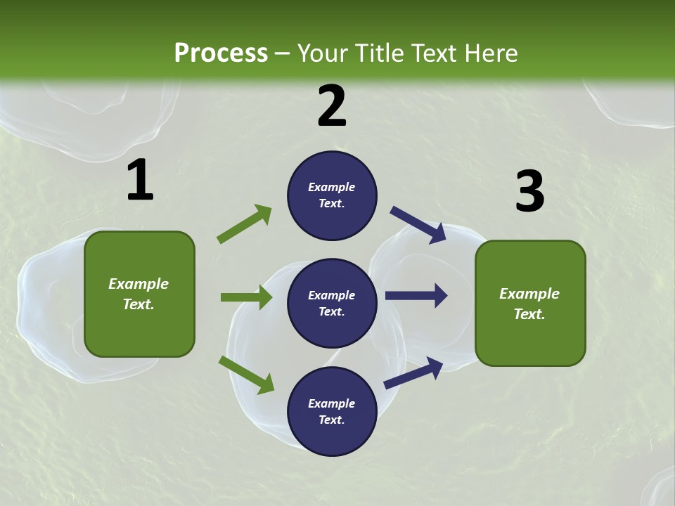 Chlamydiae Bacteria Biology PowerPoint Template