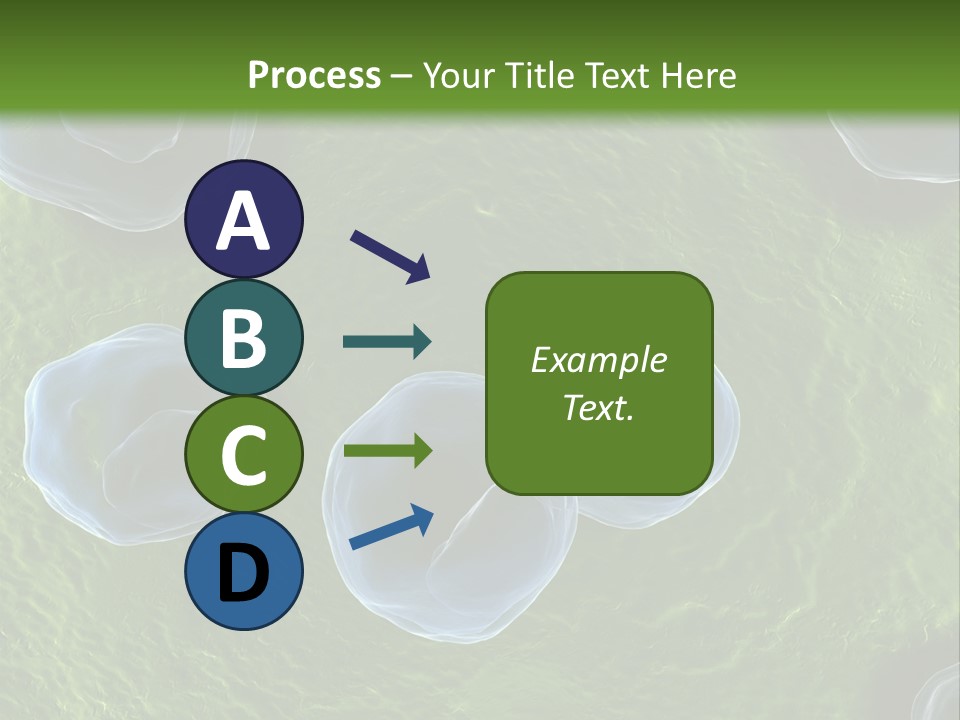 Chlamydiae Bacteria Biology PowerPoint Template