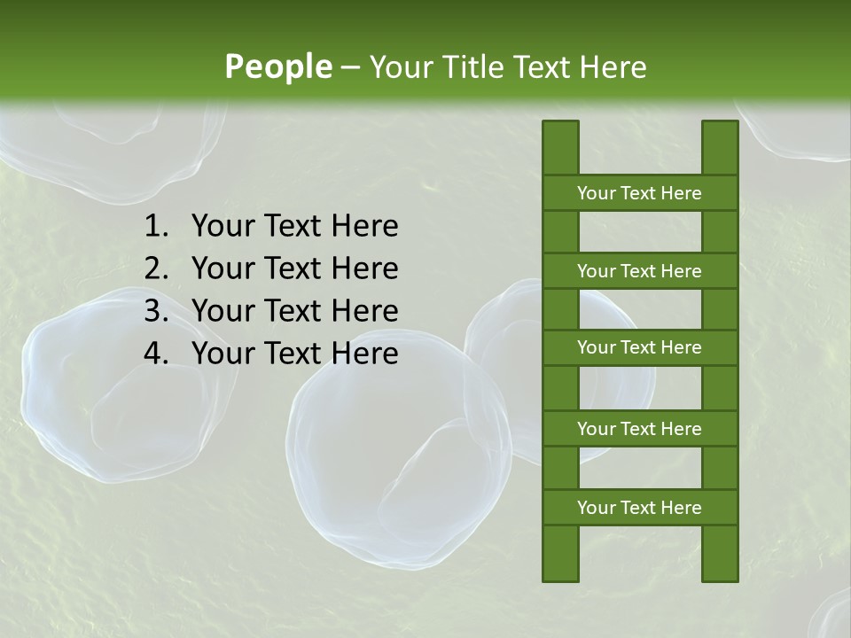 Chlamydiae Bacteria Biology PowerPoint Template