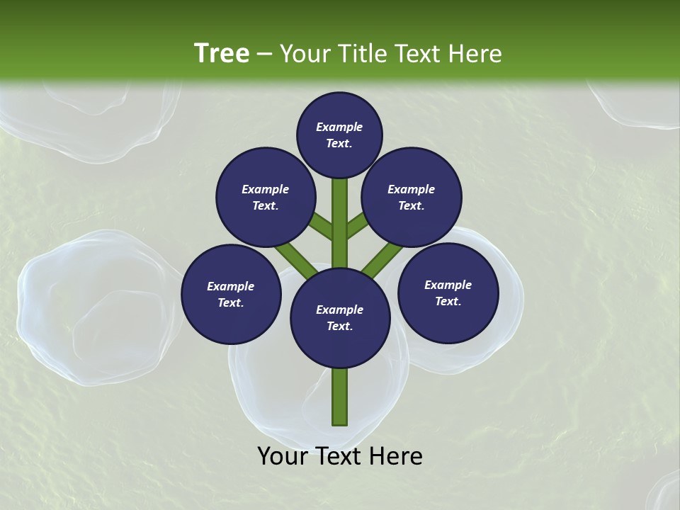 Chlamydiae Bacteria Biology PowerPoint Template