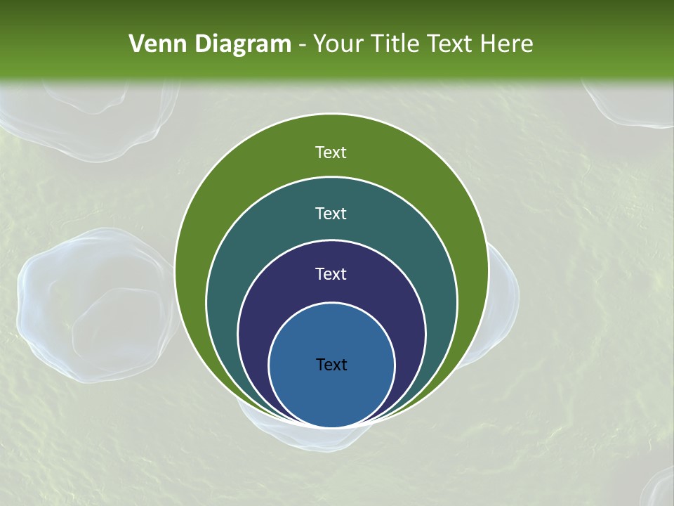 Chlamydiae Bacteria Biology PowerPoint Template