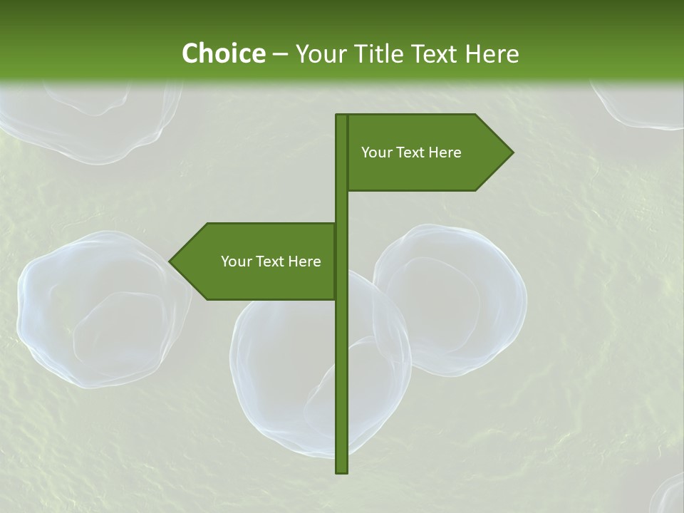 Chlamydiae Bacteria Biology PowerPoint Template