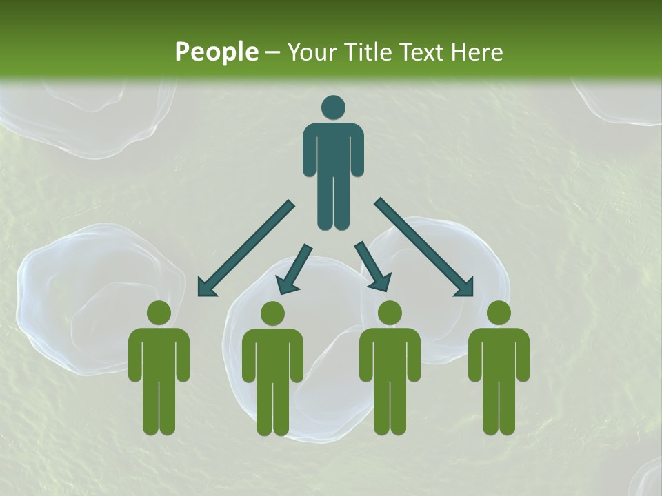 Chlamydiae Bacteria Biology PowerPoint Template