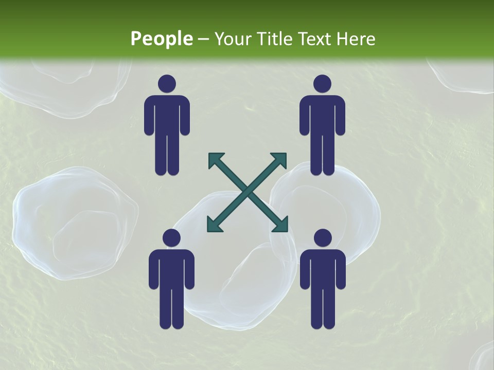 Chlamydiae Bacteria Biology PowerPoint Template