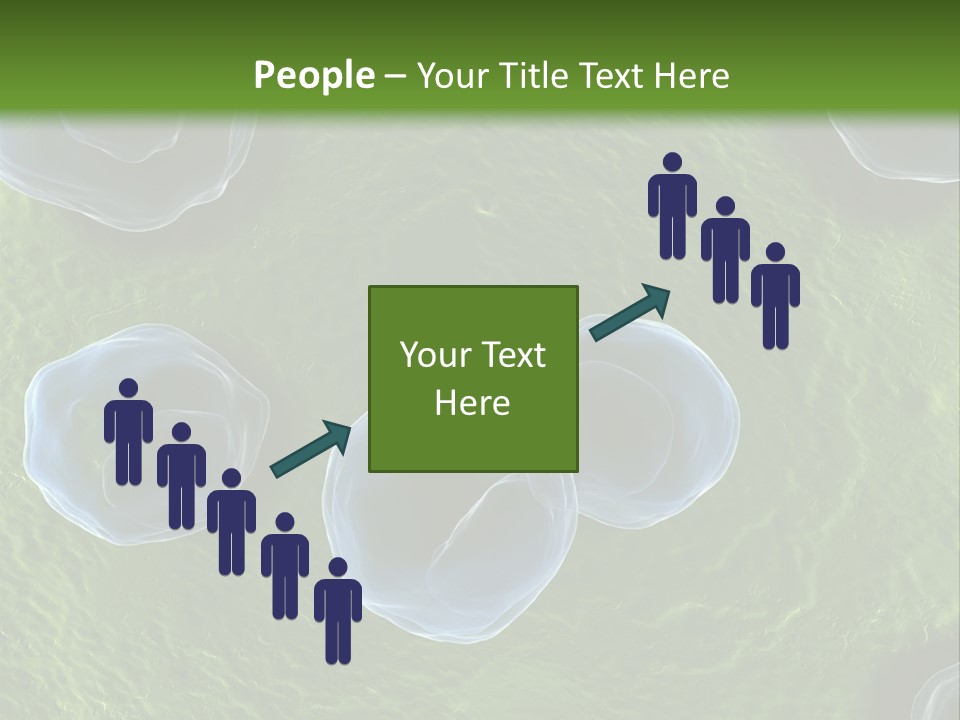 Chlamydiae Bacteria Biology PowerPoint Template