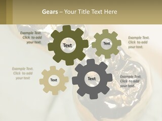 Laboratory Plaster Old PowerPoint Template