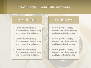 Laboratory Plaster Old PowerPoint Template