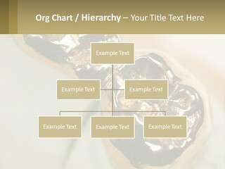 Laboratory Plaster Old PowerPoint Template