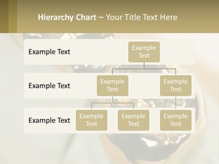 Laboratory Plaster Old PowerPoint Template