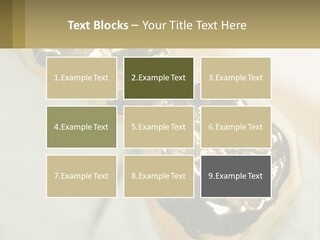 Laboratory Plaster Old PowerPoint Template