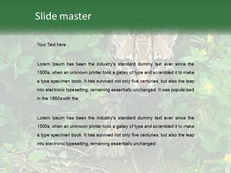 Mammal Animal Cat PowerPoint Template