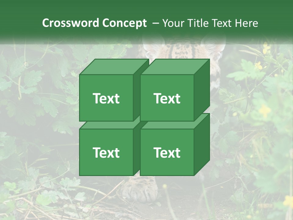 Mammal Animal Cat PowerPoint Template