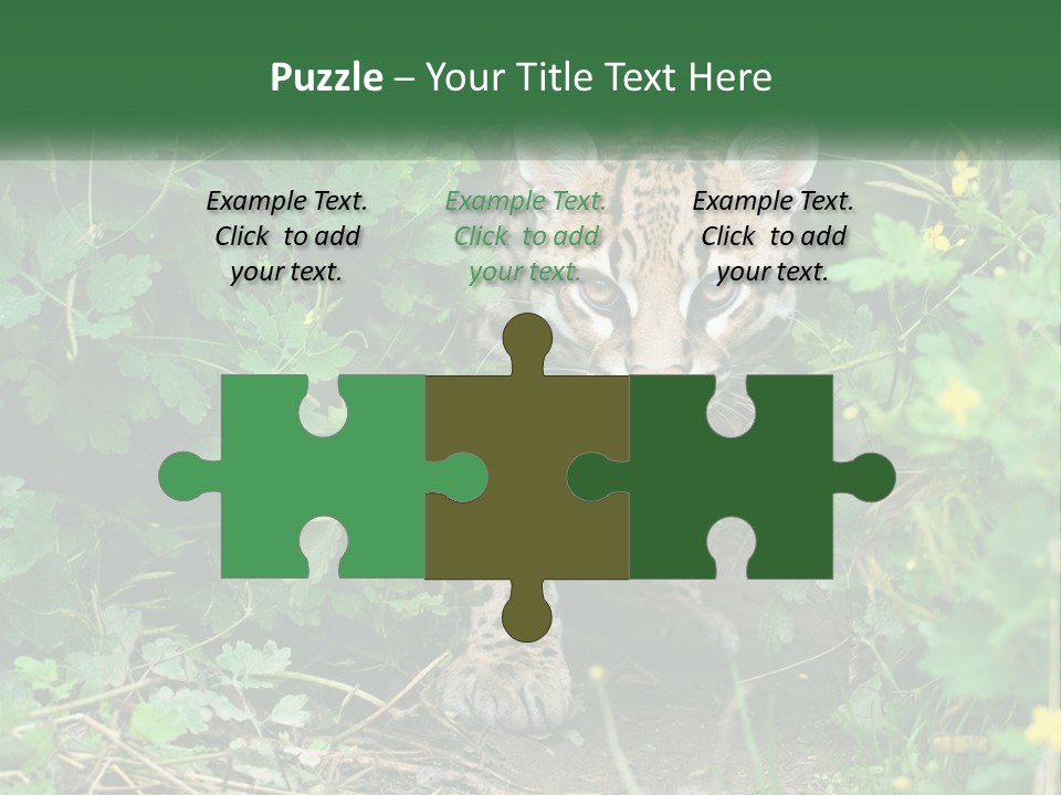 Mammal Animal Cat PowerPoint Template