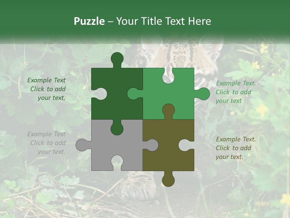 Mammal Animal Cat PowerPoint Template