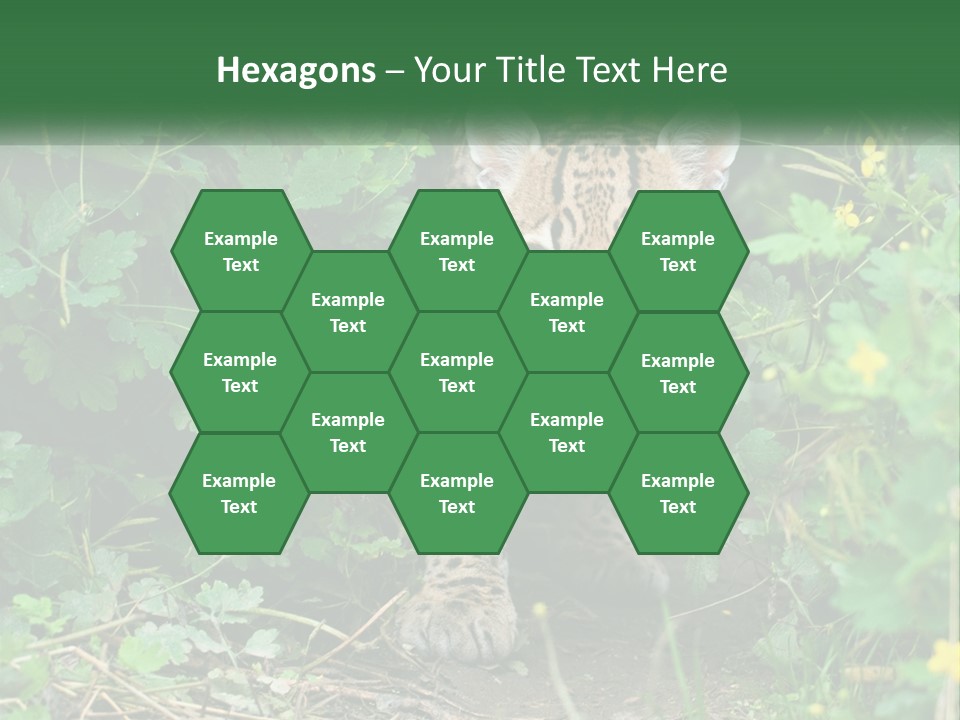 Mammal Animal Cat PowerPoint Template