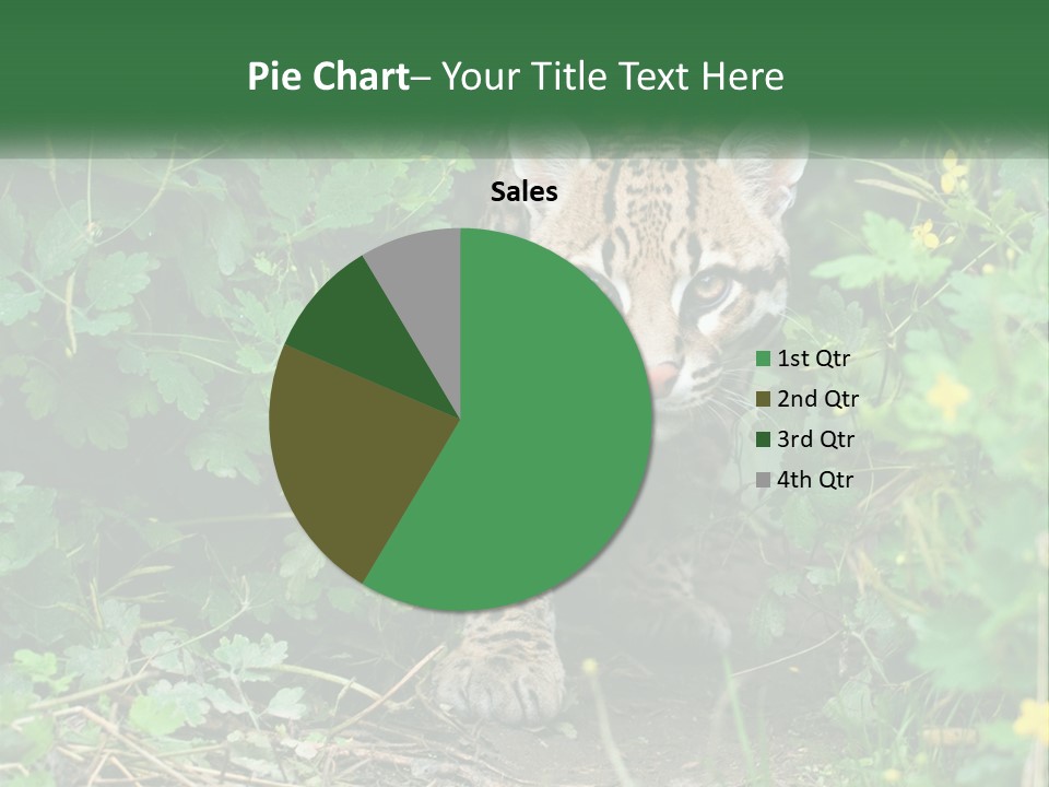 Mammal Animal Cat PowerPoint Template