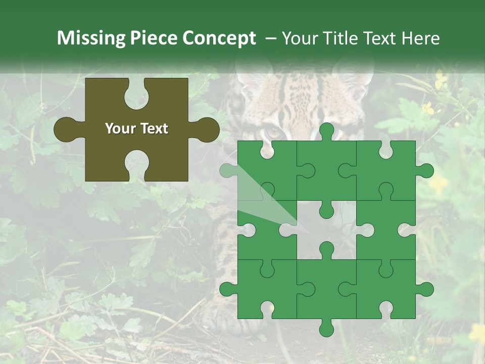 Mammal Animal Cat PowerPoint Template