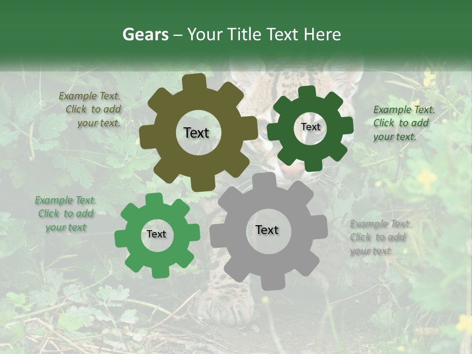 Mammal Animal Cat PowerPoint Template