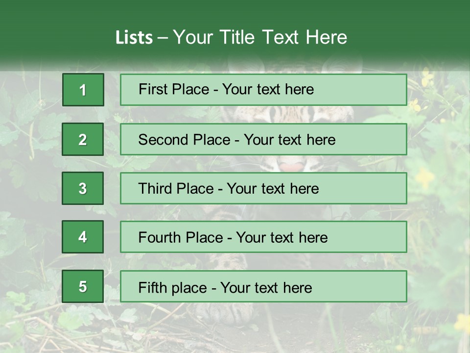 Mammal Animal Cat PowerPoint Template