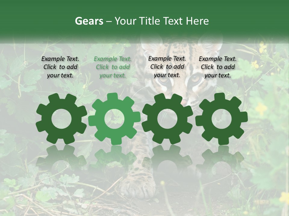 Mammal Animal Cat PowerPoint Template