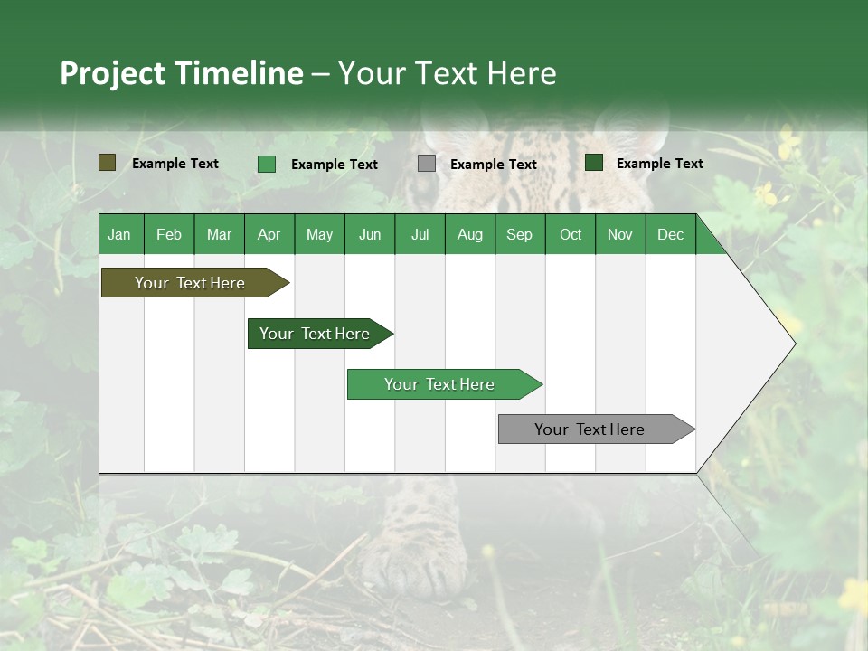 Mammal Animal Cat PowerPoint Template