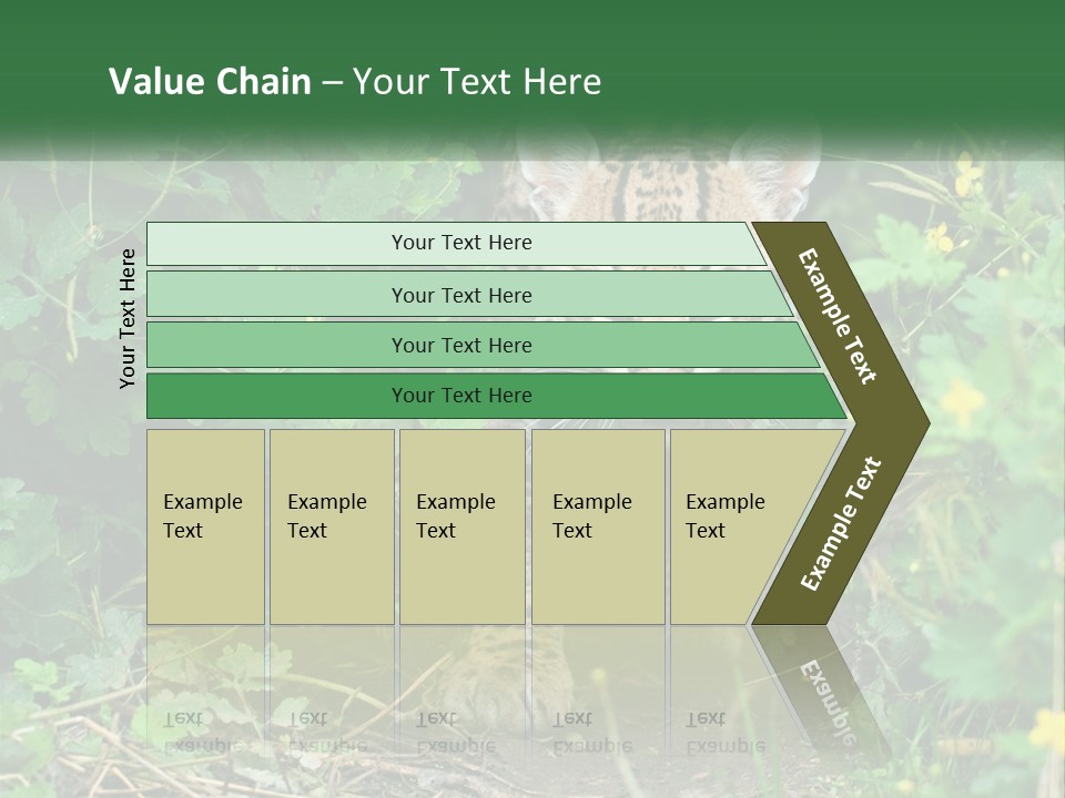 Mammal Animal Cat PowerPoint Template
