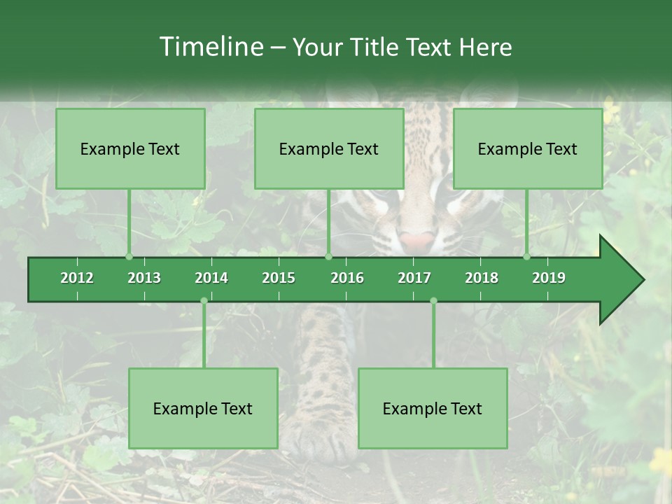 Mammal Animal Cat PowerPoint Template
