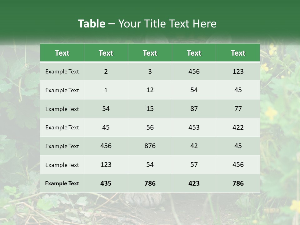 Mammal Animal Cat PowerPoint Template